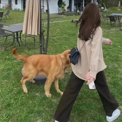 诅咒录影
