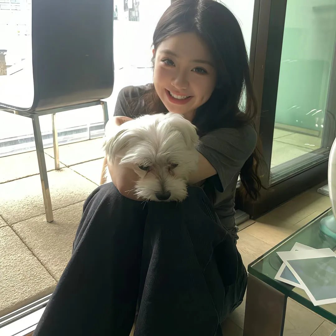客人变成猪