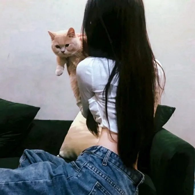 舞法天女之绚彩归来